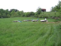 chicken tractors 001 (small).jpg