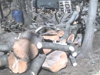 wood1.JPG