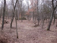 IMG_1363.JPG