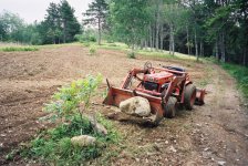 Tilled area.jpg