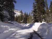 winter 015.jpg