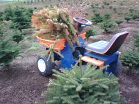 tractor trees.jpg