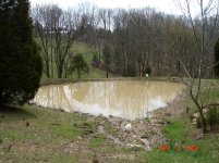 Pond, full.jpg