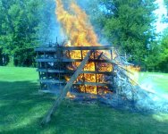 burn baby burn (Large).jpg burn baby burn (Large).jpg