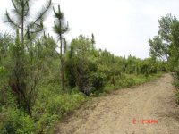DSC00526.JPG