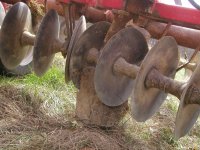 Rocks wedged in disc.jpg