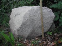 DSCN2405.JPG