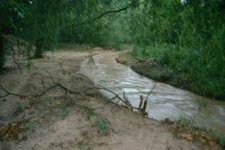 CreekFlow2a.JPG