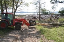 treepulling1.jpg