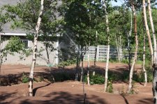 IMG_0599.JPG