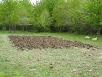 IMG_0017.JPG