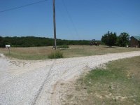 SpreadSeed-06.jpg