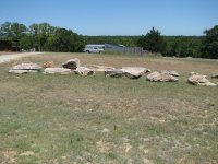 SpreadSeed-07.jpg