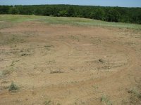 SpreadSeed-03.jpg
