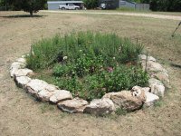 WildFlowers-01.jpg