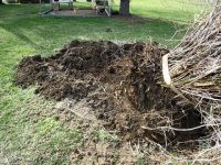 digging bush3.jpg