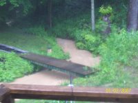 Yard 053.jpg