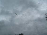IMG_1067.JPG