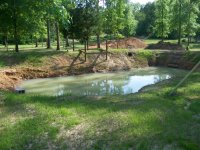 4-15-09 Pond from street side.jpg