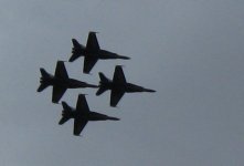 IMG_1062 cropped.jpg