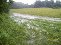 Yard 071.jpg
