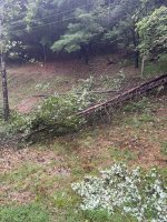 IMG_1429.jpeg