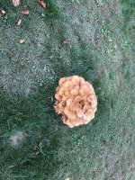IMG_4166.jpeg