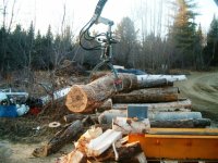 Wood Splitter 003.jpg