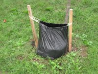 tree_Watering 005.jpg
