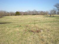 field 2.JPG