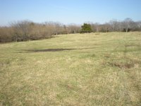 field 3.JPG