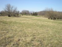 field 4.JPG