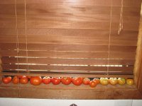 WindowSill.jpg