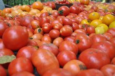 DSC_0049V2.jpg
