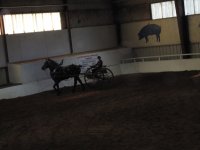 IMG_0817.JPG
