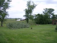 Storm June 18 2009 005.jpg