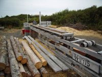 Sawmill 2.jpg