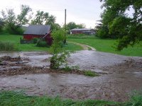 bridge2.jpg
