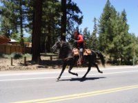 ponyexpress 009.jpg