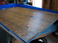 Picture leopard liner 040.jpg