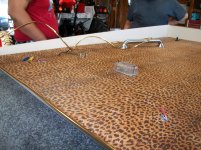 Picture leopard liner 043.jpg