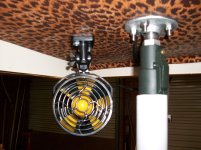 Picture leopard liner 052.jpg