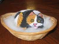 calicocat.jpg