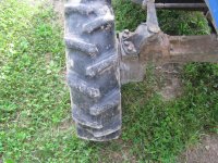 IMG_0330.jpg