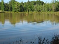 Lake Marabou 241 (Small).jpg