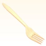 disposable-plastic-fork.jpg