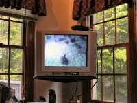 camera (Small).jpg