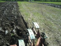 field 2.jpg