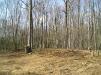 4-26-09 012.jpg