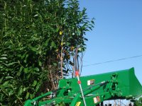 DSCF1548 [Ré§¸olution de l'é¦—ran].JPG